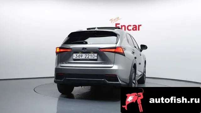Lexus NX NX300h 2018 года - вид 4