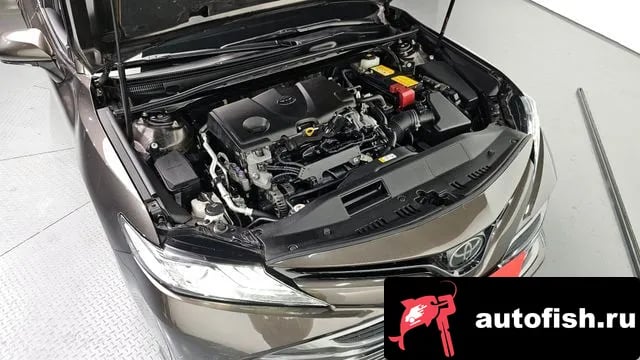 Toyota Camry Camry (XV70) 2019 года - вид 6