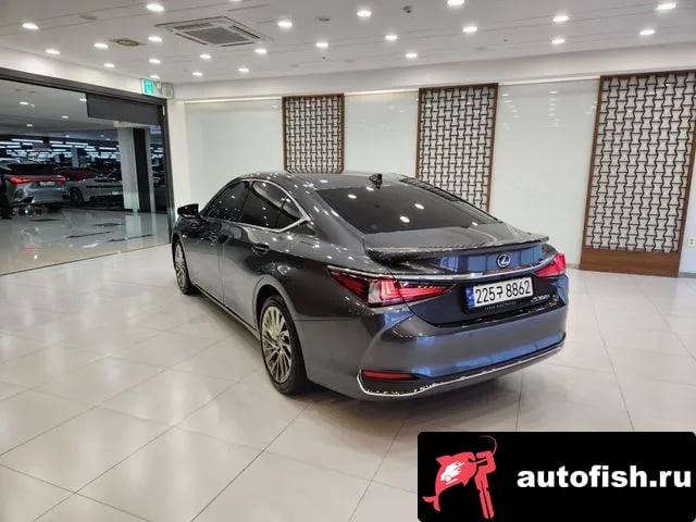 Lexus ES ES300h 7th generation 2024 года - вид 2