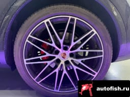 Миниатюра 6