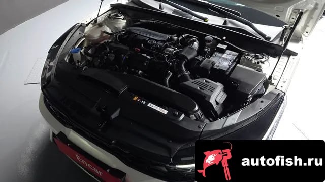 Kia K5 The New K5 3rd generation 2024 года - вид 6