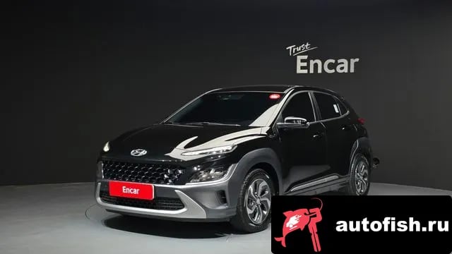 Hyundai Kona The New Kona Hybrid 2020 года - вид 1