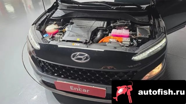 Hyundai Kona The New Kona Hybrid 2020 года - похожие автомобили