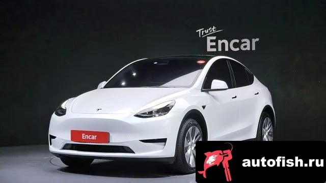 Tesla Model Y Model Y 2023 года - вид 1