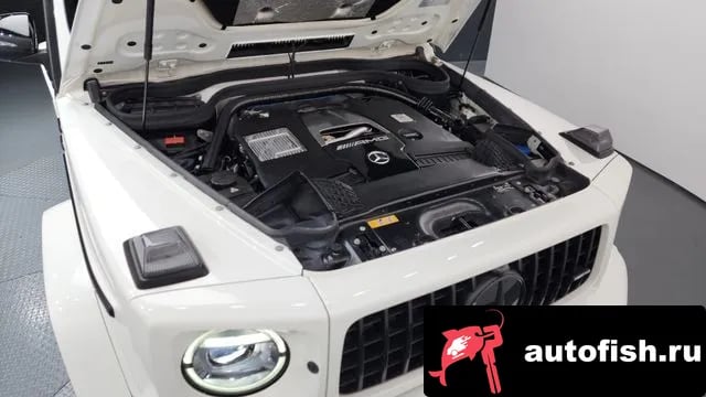 Mercedes-Benz G-Class G-Class W463b 2021 года - вид 5