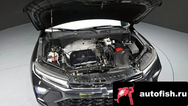 Chevrolet (GM Daewoo) Trailblazer The New Trail Blazer 2024 года - вид 6