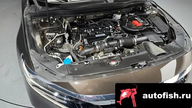 Honda Accord Accord 10th Generation 2019 года - вид 6