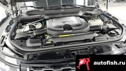 Миниатюра 6