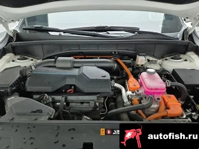 Kia Sorento The New Sorento 4th Generation 2024 года - вид 5
