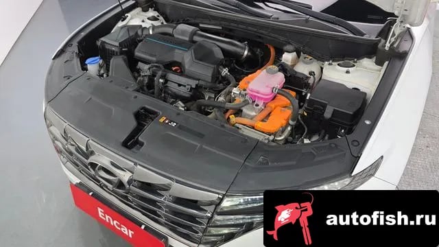 Hyundai Tucson Tucson Hybrid (NX4) 2021 года - вид 6