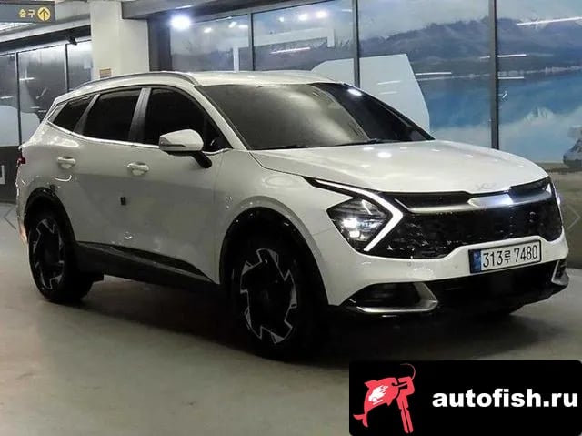 Kia Sportage Sportage 5th Generation 2023 года - вид 1