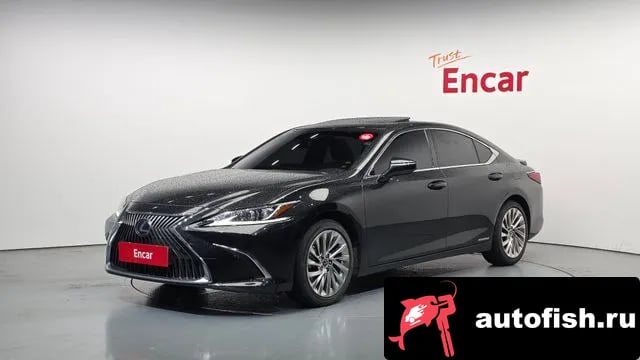 Lexus ES ES300h 7th generation 2021 года - вид 1