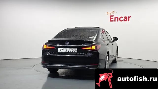 Lexus ES ES300h 7th generation 2021 года - вид 4