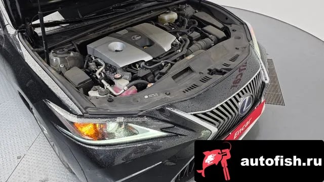 Lexus ES ES300h 7th generation 2021 года - вид 6