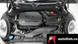 Миниатюра 6