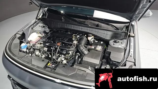 Hyundai Kona Kona (SX2) 2024 года - вид 6