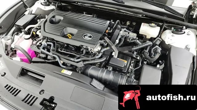 Lexus ES ES300h 7th generation 2023 года - вид 6