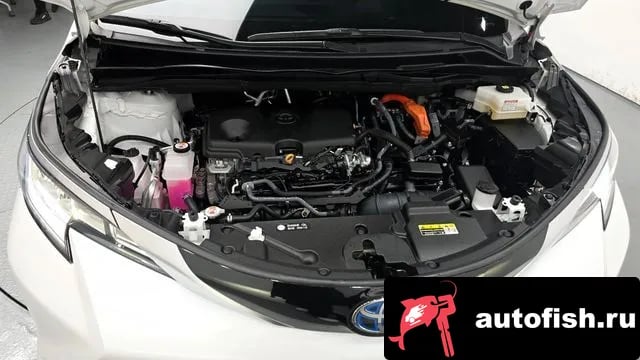 Toyota Sienna Siena 4th Generation 2024 года - вид 6