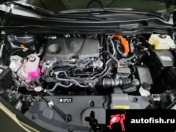 Миниатюра 6