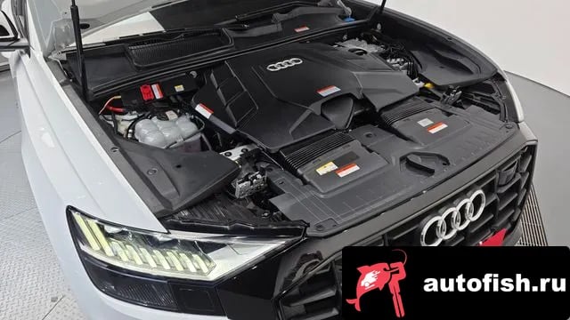 Audi Q8 Q8 (4M) 2023 года - вид 6