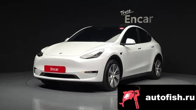 Tesla Model Y Model Y 2021 года - автомобиль из Южной Кореи