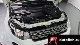 Миниатюра 6