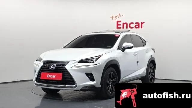 Lexus NX NX300h 2018 года - вид 1