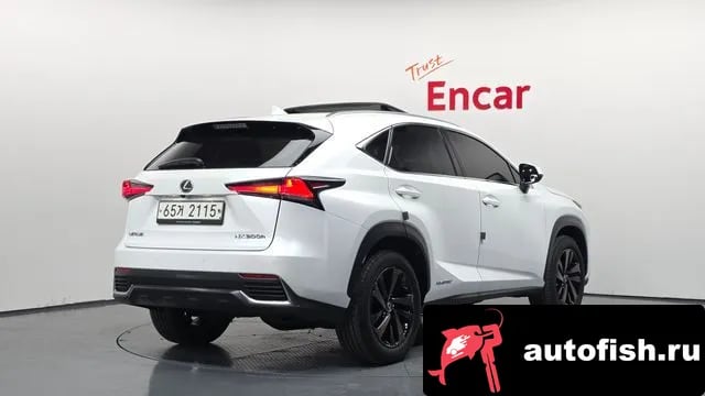 Lexus NX NX300h 2018 года - вид 2