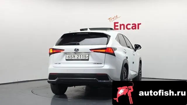 Lexus NX NX300h 2018 года - вид 4