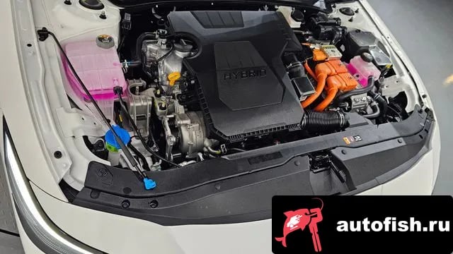 Hyundai AVANTE The New Avante Hybrid (CN7) 2025 года - вид 6