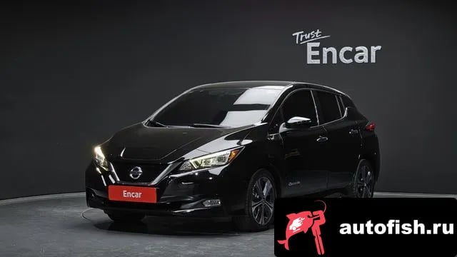Nissan Leaf Leaf (ZE1) 2019 года - вид 1