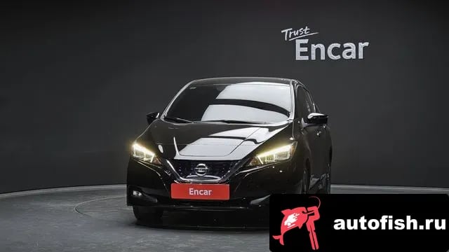 Nissan Leaf Leaf (ZE1) 2019 года - похожие автомобили