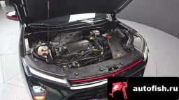 Миниатюра 6