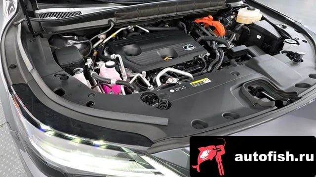 Lexus RX RX450h + 5th generation 2024 года - вид 6