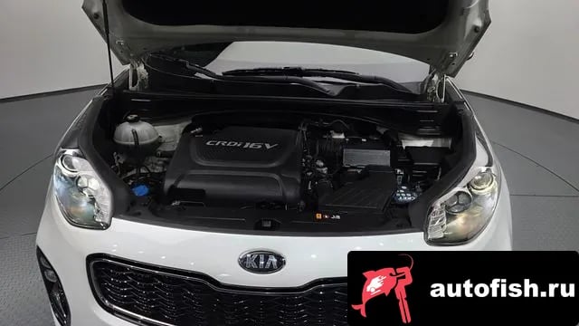 Kia Sportage Sportage 4th Generation 2018 года - вид 5