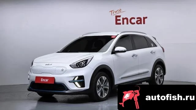 Kia Niro Niro EV 2021 года - вид 1