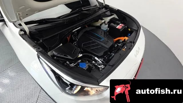 Kia Niro Niro EV 2021 года - вид 6