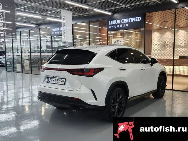 Lexus NX NX350h Second generation 2025 года - вид 2