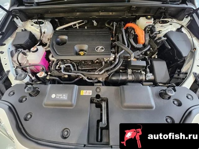 Lexus NX NX350h Second generation 2025 года - вид 6