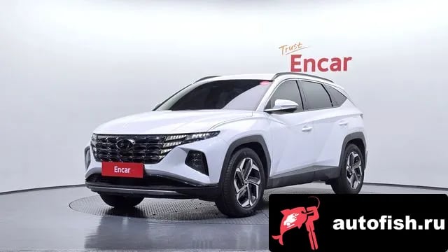 Hyundai Tucson Tucson (NX4) 2023 года - вид 1