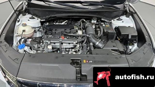 Hyundai Tucson Tucson (NX4) 2023 года - вид 6
