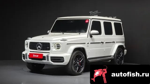 Mercedes-Benz G-Class G-Class W463b 2019 года - вид 1