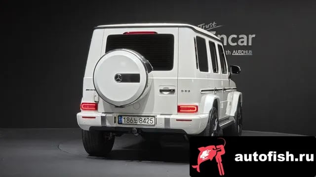 Mercedes-Benz G-Class G-Class W463b 2019 года - вид 4