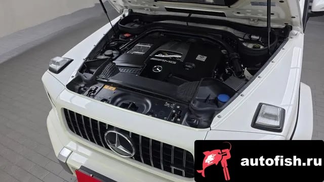 Mercedes-Benz G-Class G-Class W463b 2019 года - вид 6