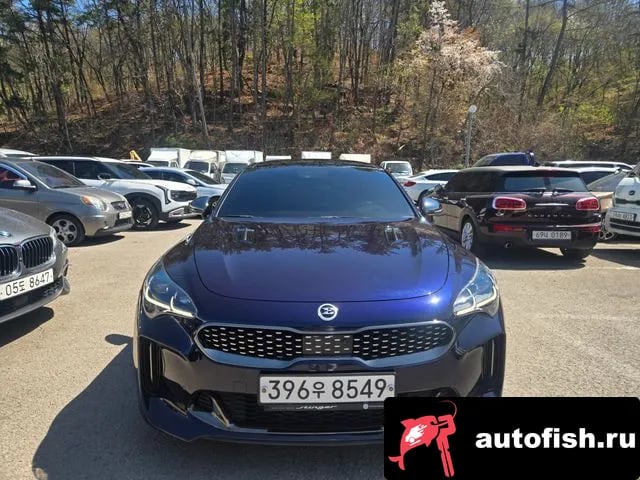 Kia Stinger Stinger 2020 года - вид 1
