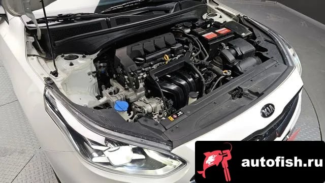 Kia K3 Come New K3 2019 года - вид 6