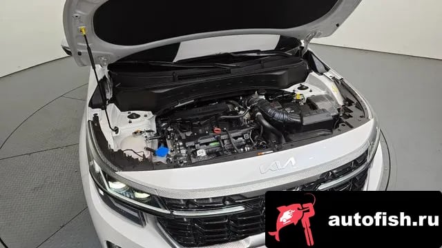 Kia Seltos The New Celtos 2024 года - вид 6