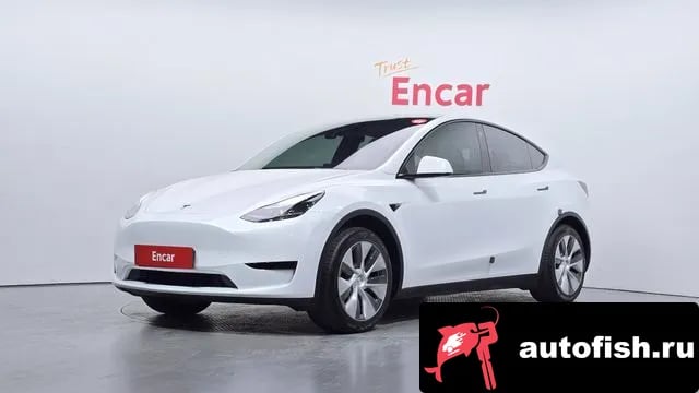 Tesla Model Y Model Y 2024 года - вид 1