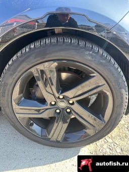 Миниатюра 5