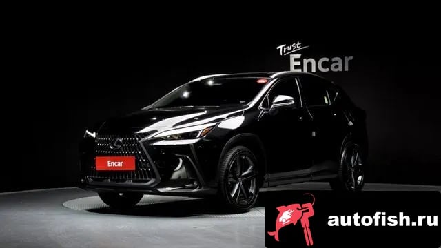 Lexus NX NX350h Second generation 2024 года - автомобиль из Южной Кореи